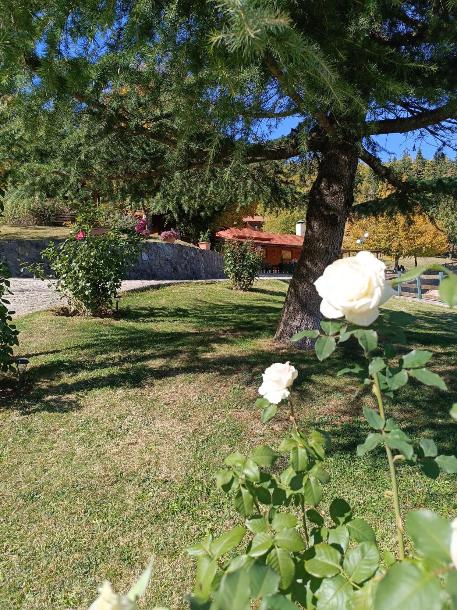 Livadaki Village Megali Kapsi Esterno foto