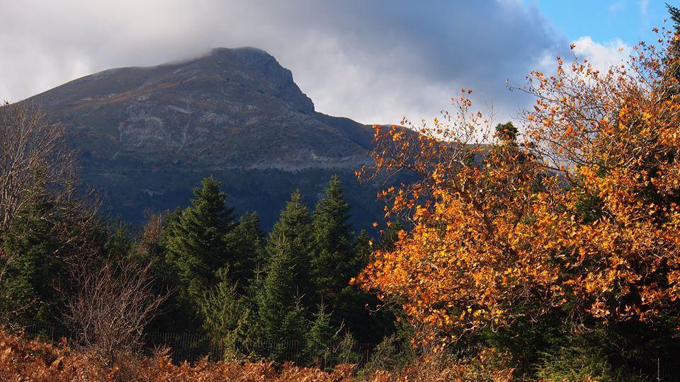 Livadaki Village Megali Kapsi Esterno foto