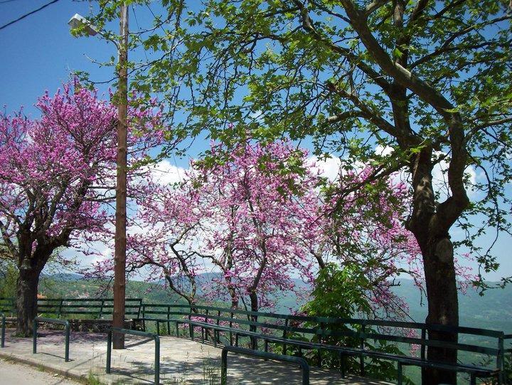 Livadaki Village Megali Kapsi Esterno foto
