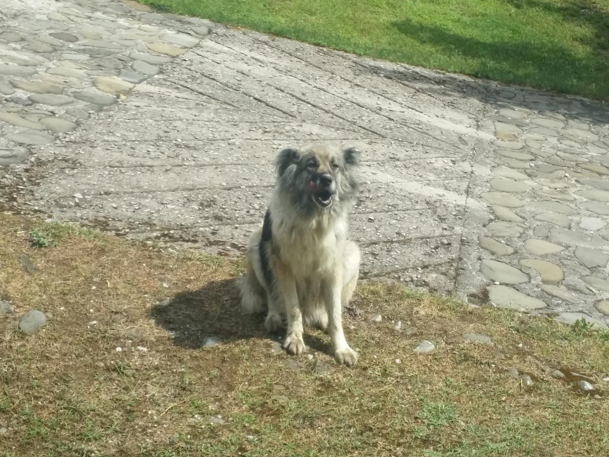 Livadaki Village Megali Kapsi Esterno foto