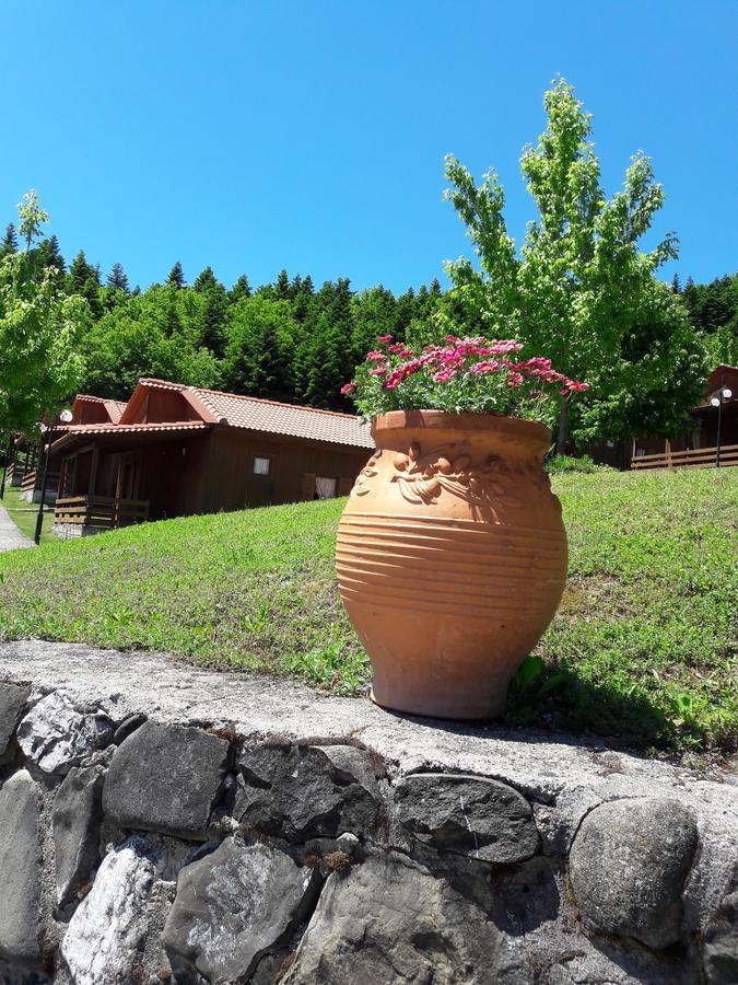 Livadaki Village Megali Kapsi Esterno foto