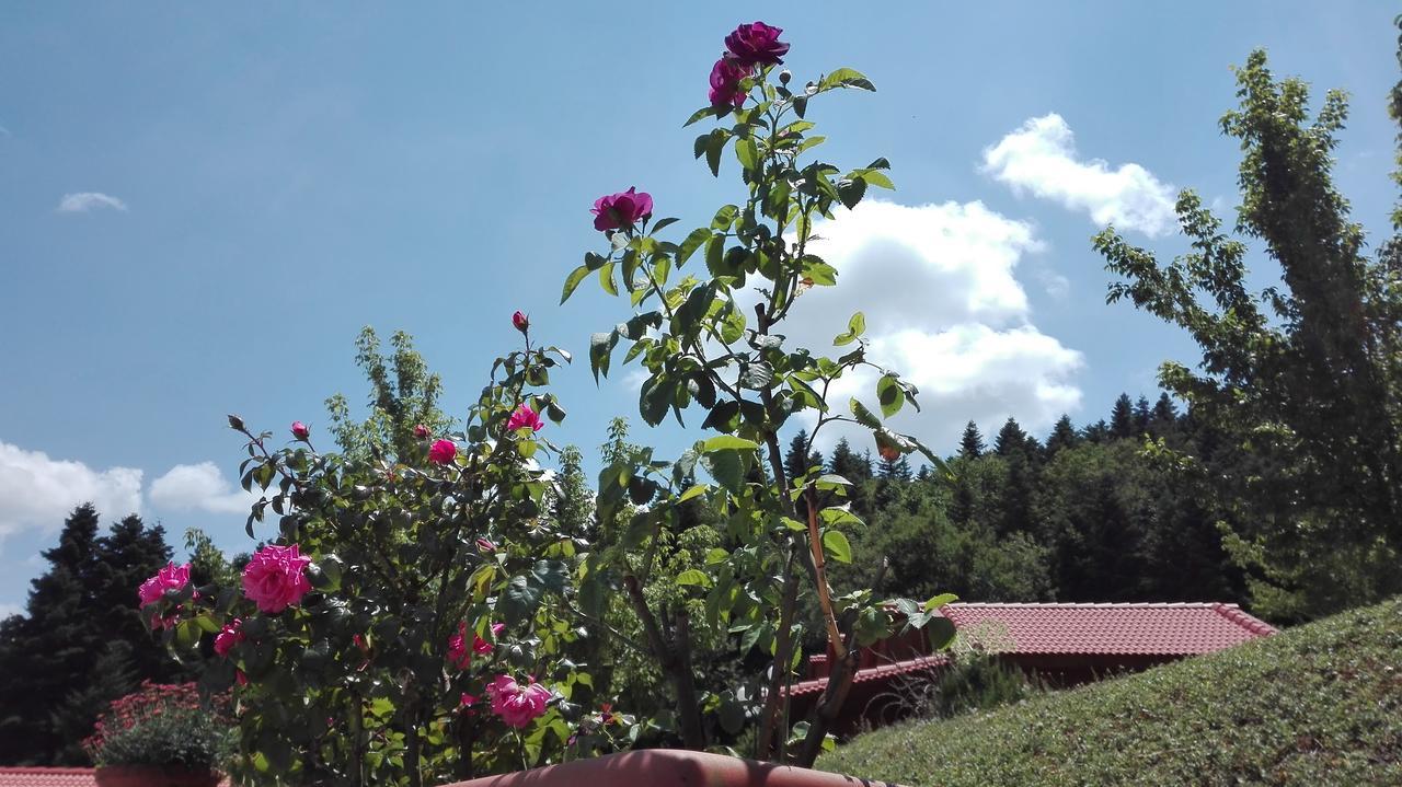 Livadaki Village Megali Kapsi Esterno foto